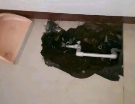 安新县卫生间测漏水多少钱
